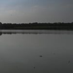 shahdara,-barapullah-among-most-polluted-drains-discharging-into-yamuna:-report