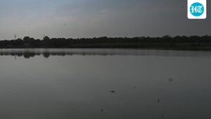 shahdara,-barapullah-among-most-polluted-drains-discharging-into-yamuna:-report