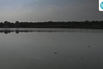 shahdara,-barapullah-among-most-polluted-drains-discharging-into-yamuna:-report