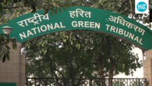 0%-success-rate-for-environmental-parties-in-ngt-appeals-from-jan-june:-report