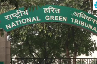 0%-success-rate-for-environmental-parties-in-ngt-appeals-from-jan-june:-report