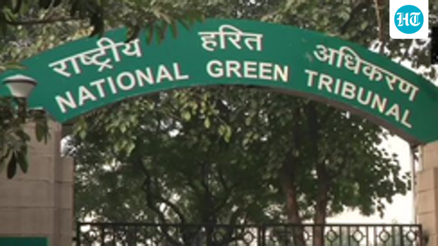 0%-success-rate-for-environmental-parties-in-ngt-appeals-from-jan-june:-report