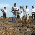 submerged-one-year,-parched-the-next:-a-maharashtra-village’s-climate-crisis