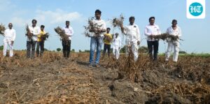 submerged-one-year,-parched-the-next:-a-maharashtra-village’s-climate-crisis