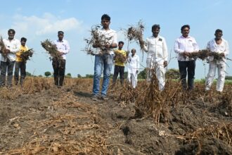 submerged-one-year,-parched-the-next:-a-maharashtra-village’s-climate-crisis