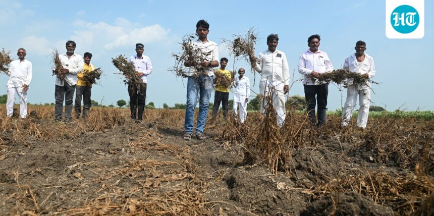 submerged-one-year,-parched-the-next:-a-maharashtra-village’s-climate-crisis