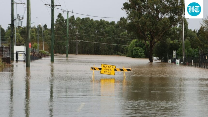weather-bee:-el-nino’s-impact-on-global-rainfall-in-four-maps