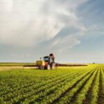 ex-serviceman’s-agricultural-land-plea-leaves-karnataka-hc-with-‘heavy-heart’