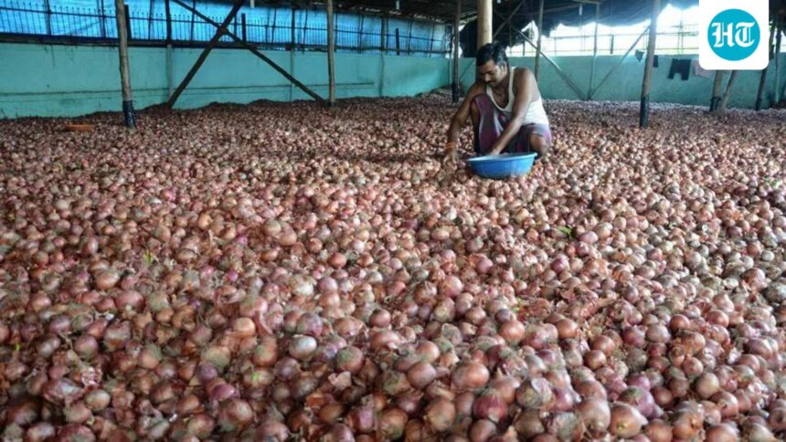 nashik-onion-wholesale-prices-fall-to-₹46/kg-from-₹55,-retail-rates-stay-high