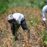 amid-drought-like-conditions,-latur-cracks-down-on-illegal-moneylending;-admin-inspects-13-locations