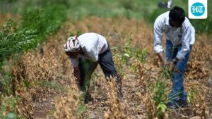 amid-drought-like-conditions,-latur-cracks-down-on-illegal-moneylending;-admin-inspects-13-locations