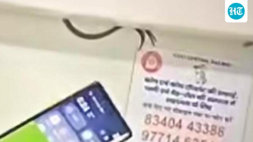 bihar:-snake-spotted-inside-ac-coach-panel-of-swatantrata-senani-express,-coach-replaced