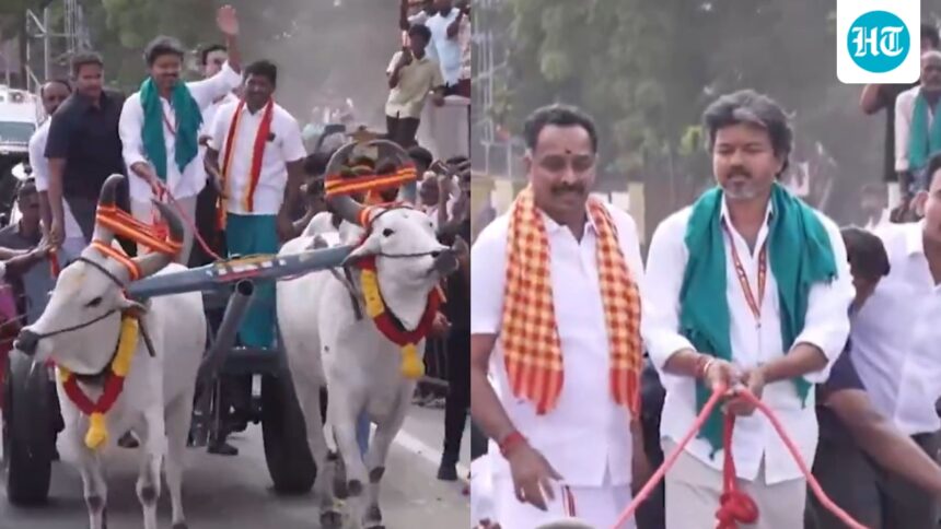 tamil-nadu-cm-vijay-rides-bullock-cart-during-dharapuram-bypoll-campaign,-interacts-with-voters-|-watch
