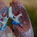 no-immediate-risk-to-india,-says-kerala-medical-body-expert-amid-pneumonic-plague-scare-in-russia