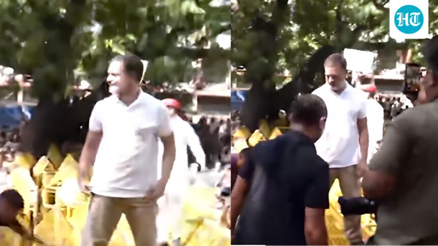rahul-gandhi-climbs-barricades,-waves-tricolour-during-oppn-march-to-eci:-‘we-are-going-to-destroy-them’