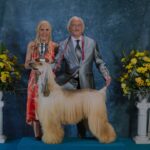 ‘prince’-is-a-stylized-cinematic-battle-royal-with-a-show-dog,-his-owner,-her-butler-and-their-family