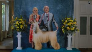 ‘prince’-is-a-stylized-cinematic-battle-royal-with-a-show-dog,-his-owner,-her-butler-and-their-family