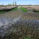 days-after-narrating-drought-plight-to-minister,-maharashtra-farmer-ends-life-by-jumping-in-well
