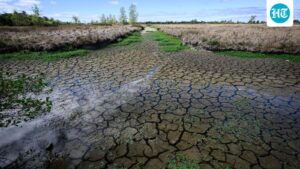 days-after-narrating-drought-plight-to-minister,-maharashtra-farmer-ends-life-by-jumping-in-well