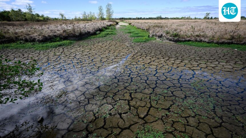 days-after-narrating-drought-plight-to-minister,-maharashtra-farmer-ends-life-by-jumping-in-well