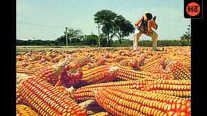 us-pitches-maize-for-india’s-e85,-saf-ethanol-push