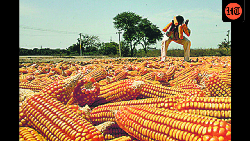 us-pitches-maize-for-india’s-e85,-saf-ethanol-push