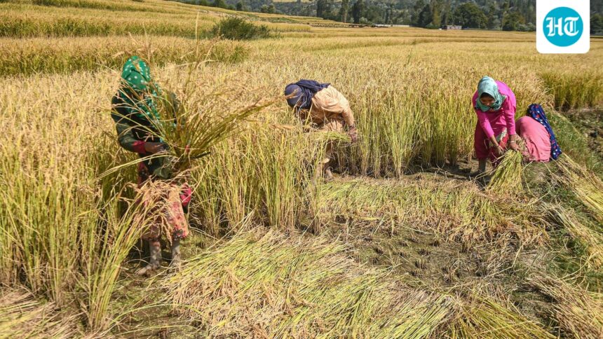 ht-interview:-india-must-look-beyond-farming-to-boost-rural-income,-says-ifad-chief-alvaro-lario