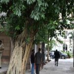 delhi-hc-shifts-patiala-house,-rouse-avenue-court-proceedings-online-amid-jantar-mantar-protest
