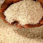 karnataka-seizes-565-tonnes-of-subsidised-rice-meant-for-public-distribution